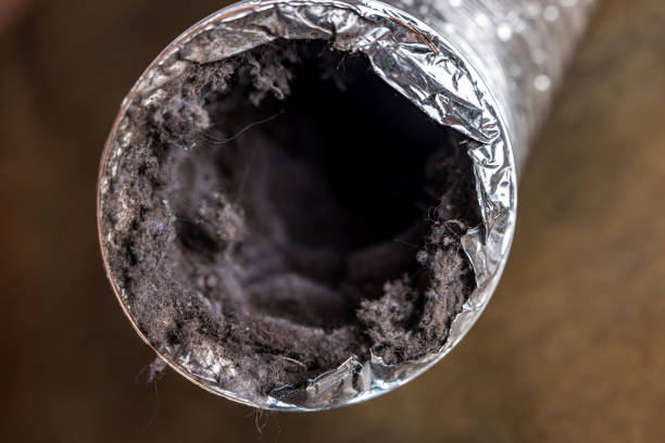 Best Commercial Air Duct Cleaning  in Pampa, TX