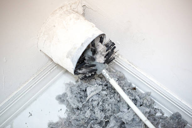 Air Duct Mold Removal in Pampa, TX